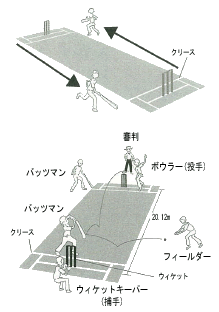 クリケットのイメージ